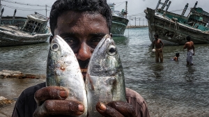 Salon.Photo Silver Medal