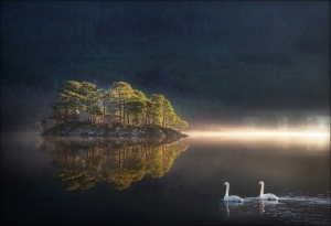 Salon.Photo Bronze Medal